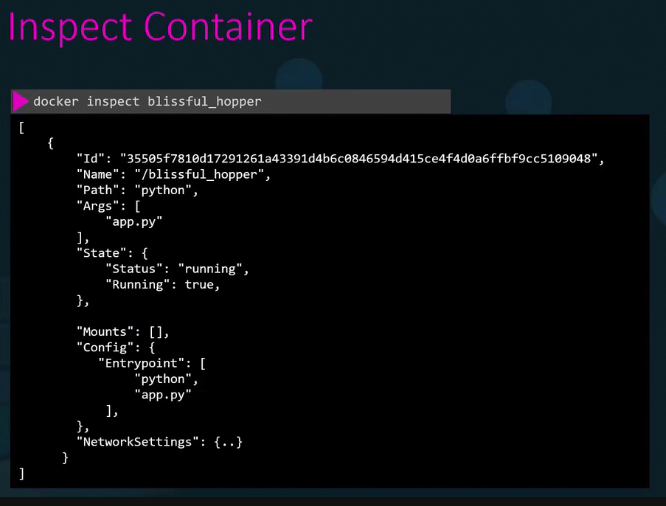 Docker Inspect Example